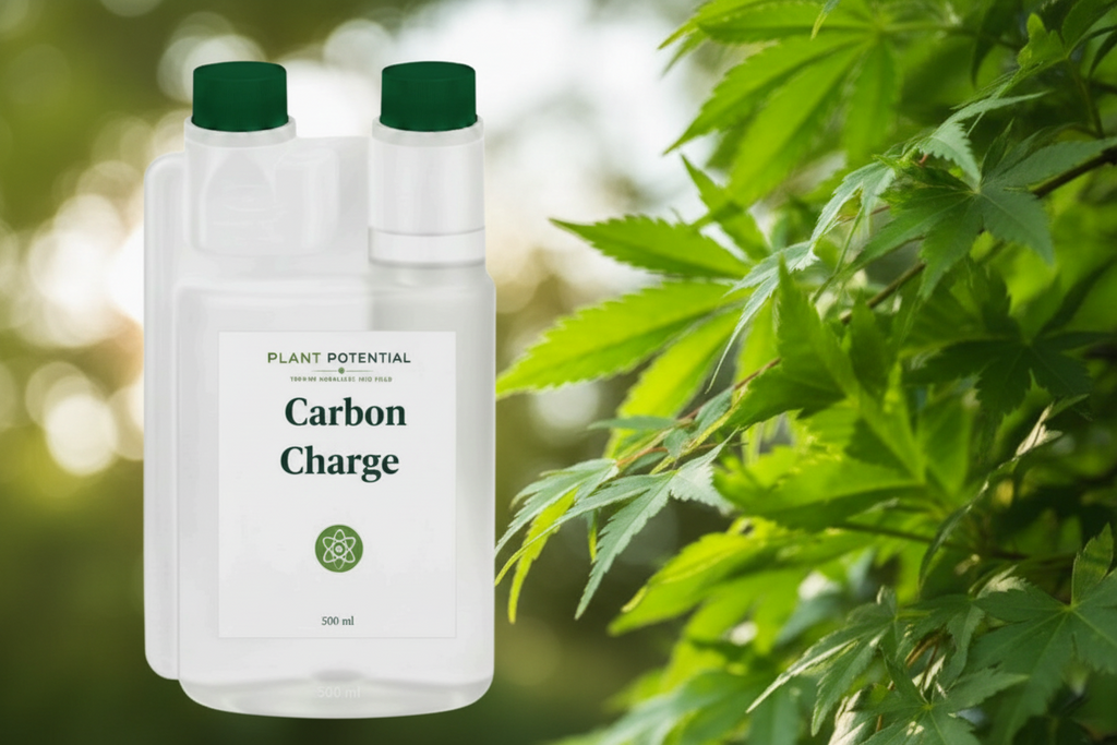 carbon uptake enhance fertilizers efficientie upgrade plant health biostiimulant