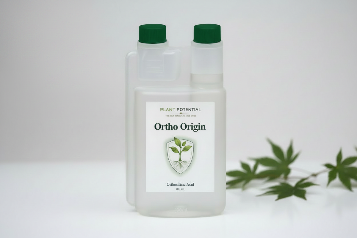 Ortho Origin Packshot