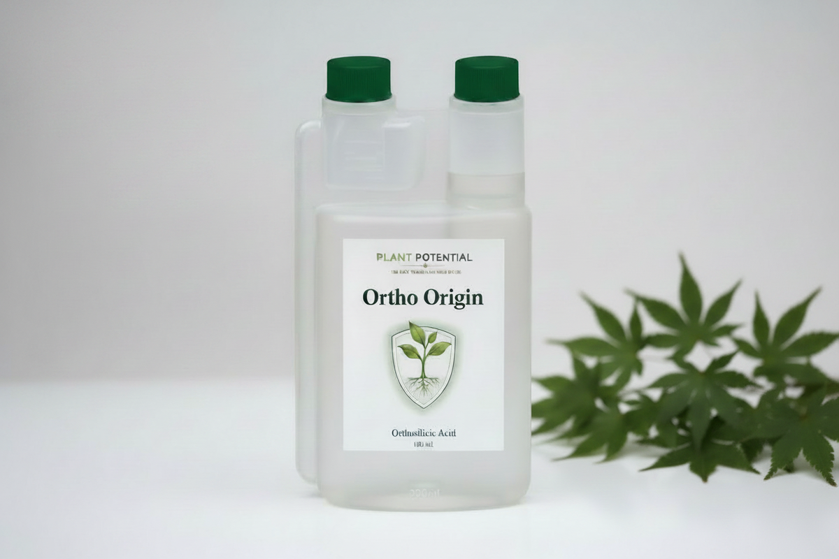 Ortho Origin Vrijstaand